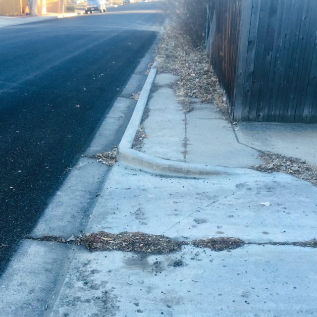 Sometimes it's bumpy, then leafy, then bushy, and by then you are in the street again.