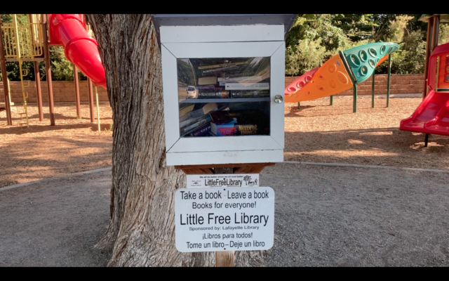Waneka Lake Park Library