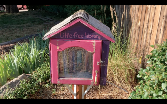 Emma Street #1 Library